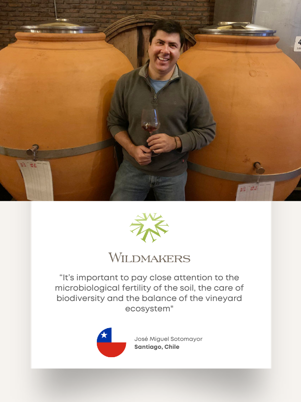 Wildmakers winemaker José Miguel Sotomayor beside clay fermentation vessels. His card speaks to soil fertility, biodiversity, and vineyard balance.